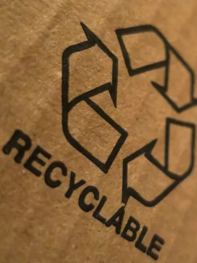 Recyclable Materials What Are They? Compactor Management Company