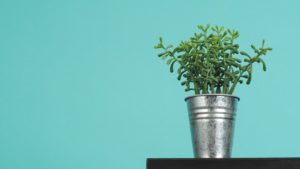 Upcycled-aluminum-plant-pot
